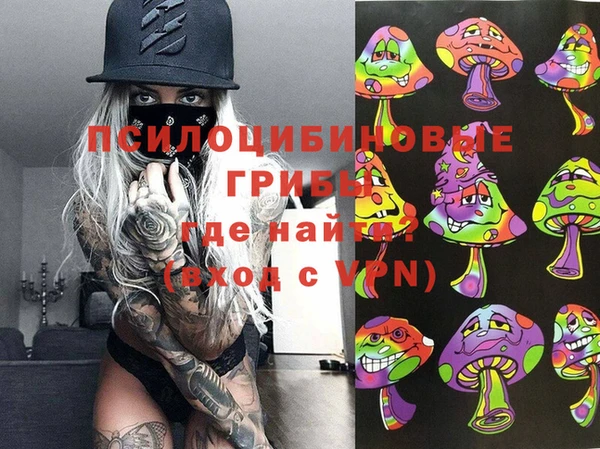 МДМА Алексеевка