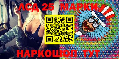 индика Боровичи