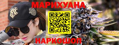 индика Боровичи