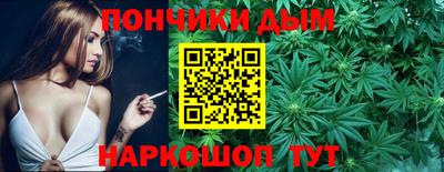индика Боровичи