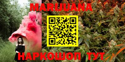 индика Боровичи