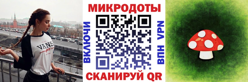 где купить наркотик  Брянск  Псилоцибиновые грибы Psilocybe 