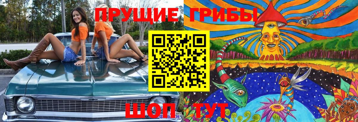 Галлюциногенные грибы GOLDEN TEACHER  Псилоцибиновые грибы Magic Shrooms  Брянск  Вход с VPN 