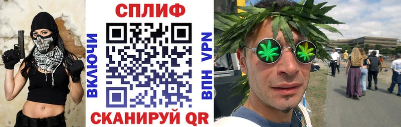Конопля план Брянск
